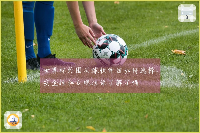 世界杯外围买球软件该如何选择，安全性和合规性你了解了吗