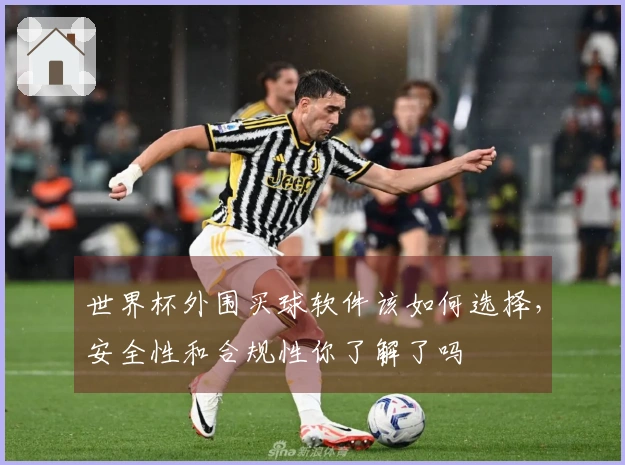 世界杯外围买球软件该如何选择，安全性和合规性你了解了吗