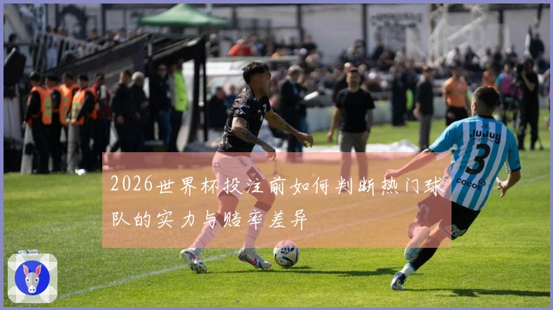 2026世界杯投注前如何判断热门球队的实力与赔率差异