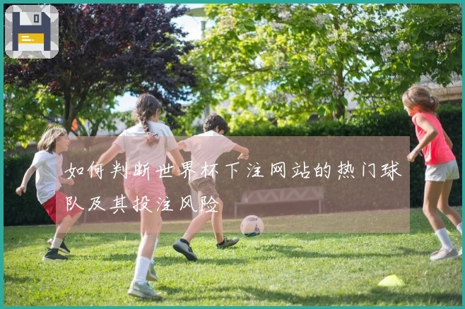 如何判断世界杯下注网站的热门球队及其投注风险