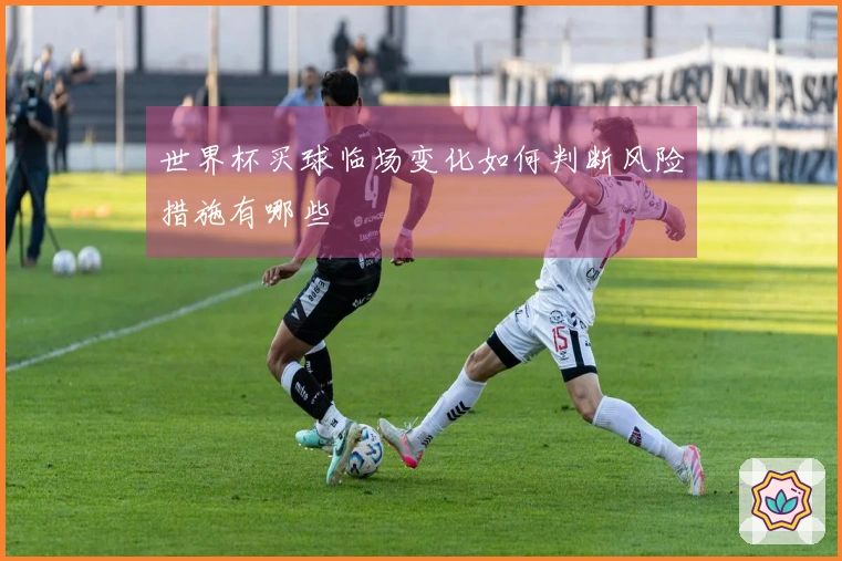 世界杯买球临场变化如何判断风险措施有哪些