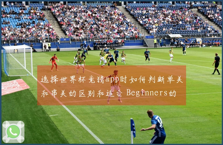 选择世界杯竞猜app时如何判断单关和串关的区别和适合 Beginners的玩法