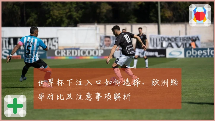 世界杯下注入口如何选择，欧洲赔率对比及注意事项解析