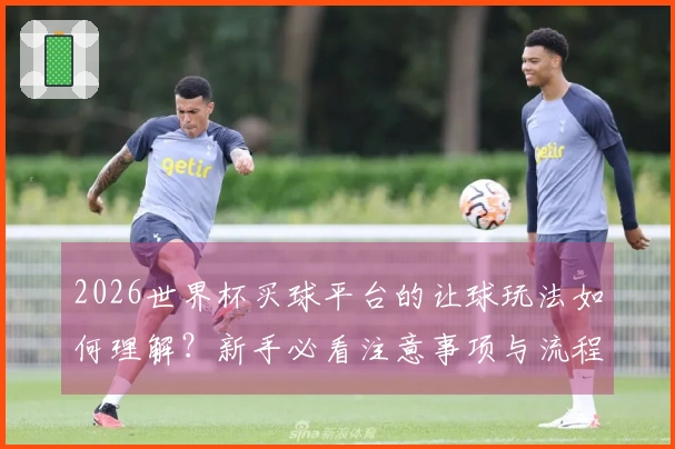 2026世界杯买球平台的让球玩法如何理解？新手必看注意事项与流程分析
