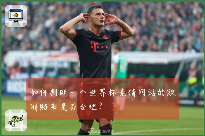 如何判断一个世界杯竞猜网站的欧洲赔率是否合理？