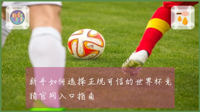 新手如何选择正规可信的世界杯竞猜官网入口指南