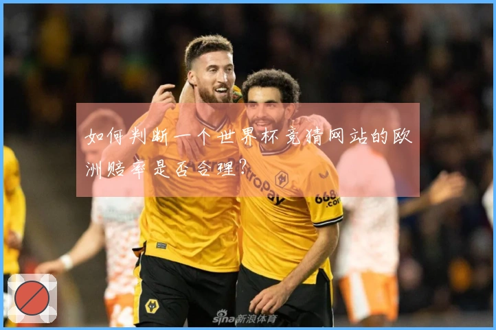 如何判断一个世界杯竞猜网站的欧洲赔率是否合理？