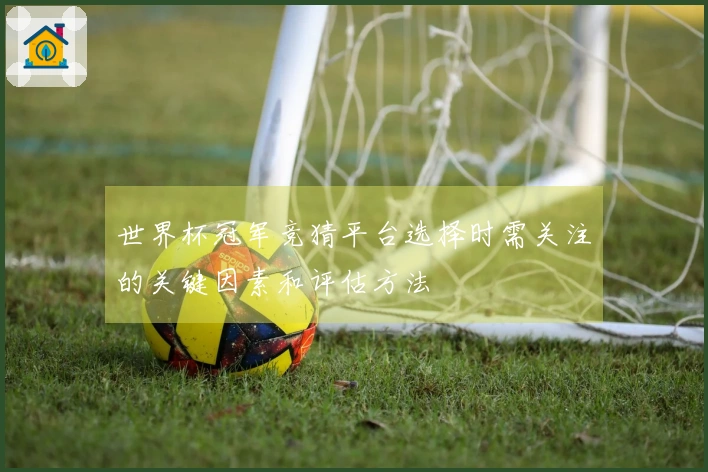 世界杯冠军竞猜平台选择时需关注的关键因素和评估方法