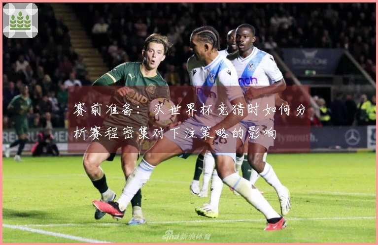 赛前准备：买世界杯竞猜时如何分析赛程密集对下注策略的影响