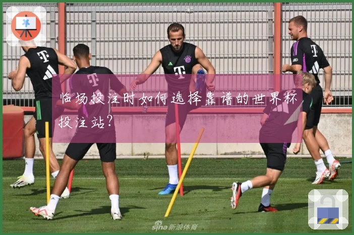 临场投注时如何选择靠谱的世界杯投注站？