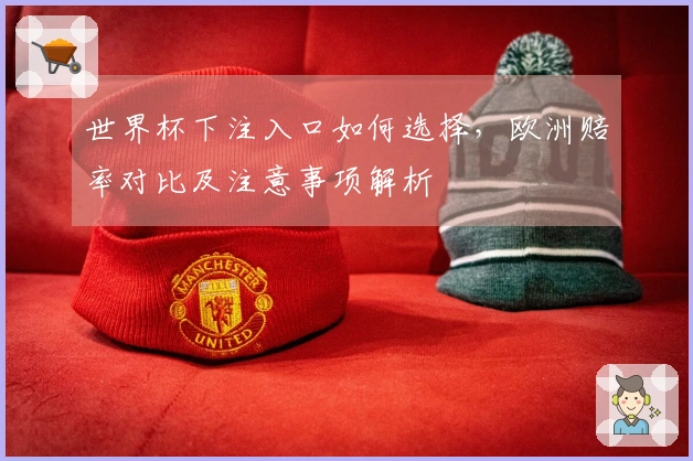 世界杯下注入口如何选择，欧洲赔率对比及注意事项解析