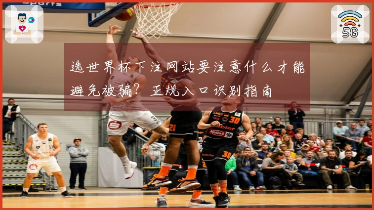 选世界杯下注网站要注意什么才能避免被骗？正规入口识别指南