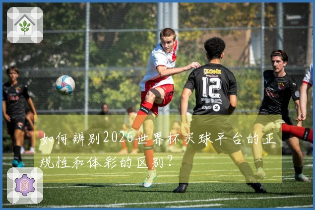 如何辨别2026世界杯买球平台的正规性和体彩的区别？