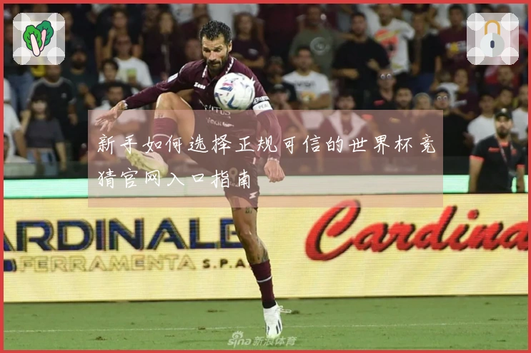新手如何选择正规可信的世界杯竞猜官网入口指南