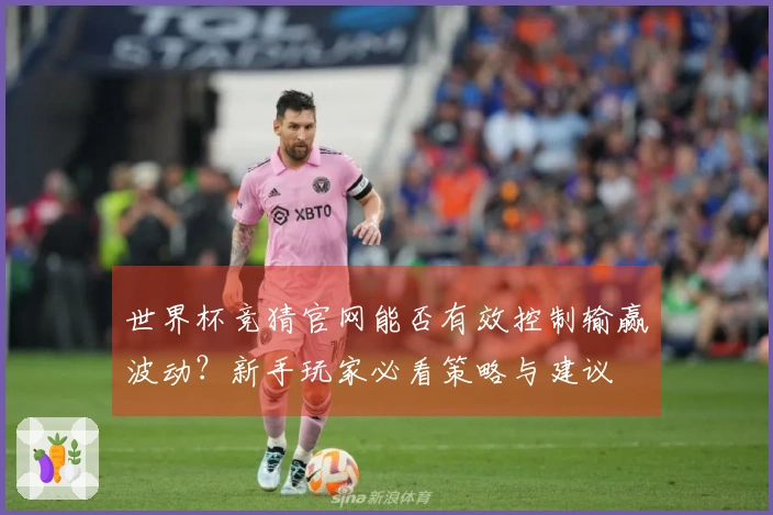 世界杯竞猜官网能否有效控制输赢波动？新手玩家必看策略与建议