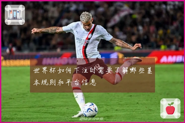 世界杯如何下注时需要了解哪些基本规则和平台信息
