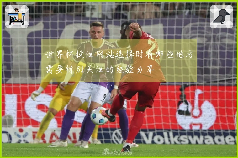 世界杯投注网站选择时有哪些地方需要特别关注的经验分享