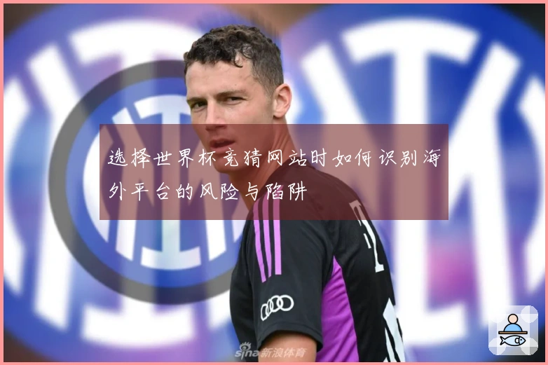 选择世界杯竞猜网站时如何识别海外平台的风险与陷阱