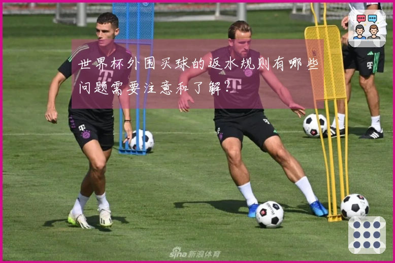 世界杯外围买球的返水规则有哪些问题需要注意和了解？